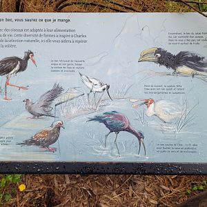 African aviary sign -Parc Zoologique de Paris (2022)