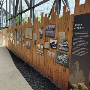 History of the Zoo mural -Parc Zoologique de Paris (2022)