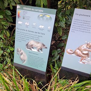 European wolverine sign -Parc Zoologique de Paris (2022)