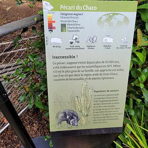 Chacoan peccary sign -Parc Zoologique de Paris (2022)