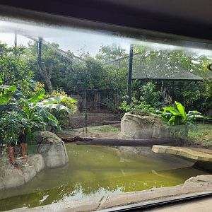 Jaguar exhibit -Parc Zoologique de Paris (2022)