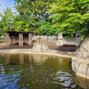 South American tapir and Capybara exhibit -Parc Zoologique de Paris (2022)