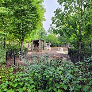 South American tapir and Capybara exhibit -Parc Zoologique de Paris (2022)