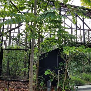 Woolly monkey exhibit -Parc Zoologique de Paris (2022)