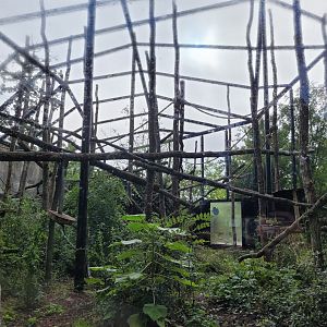 Woolly monkey exhibit -Parc Zoologique de Paris (2022)