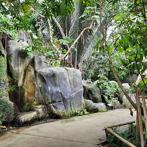 Tropical Greenhouse view -Parc Zoologique de Paris (2022)