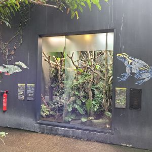 Green vine snake exhibit and Emerald boa and Dyeing poison dart frog exhibit -Parc Zoologique de Paris (2022)