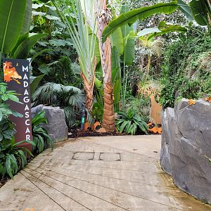 Entrance to Madagascar -Parc Zoologique de Paris (2022)