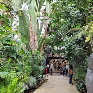 View -Parc Zoologique de Paris (2022)