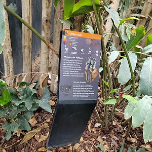 Black lemur sign -Parc Zoologique de Paris (2022)