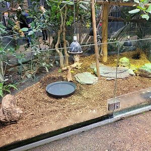 Radiated tortoise exhibit -Parc Zoologique de Paris (2022)