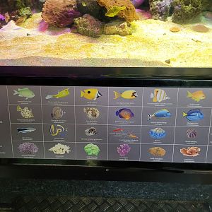 Reef sign -Parc Zoologique de Paris (2022)