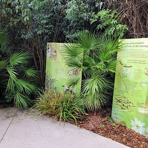 Madagascar signs -Parc Zoologique de Paris (2022)