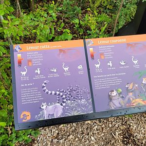 Crowned lemur and Ring-tailed lemur signs -Parc Zoologique de Paris (2022)
