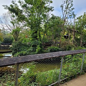 Crowned lemur and Ring-tailed lemur exhibit -Parc Zoologique de Paris (2022)