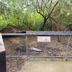 Radiated tortoise exhibit -Parc Zoologique de Paris (2022)