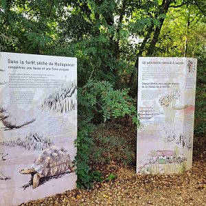 Madagascar signs -Parc Zoologique de Paris (2022)