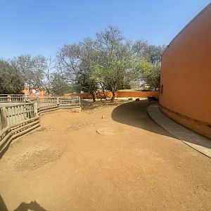 Axis Deer, Warthog and Domestic Pig Enclosure (Axis axis, Phacochoerus africanus, Sus scrofa domesticus)