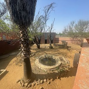 Common Duiker, Patagonian Mara and Leopard Tortoise Enclosure (Sylvicapra grimmia, Dolichotis patagonum, Stigmochelys pardalis)