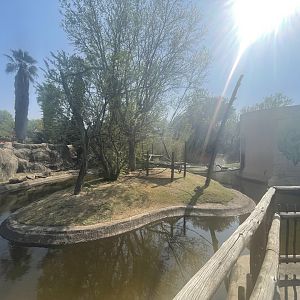 Black-and-White Ruffed Lemur Enclosure (Varecia variegata variegata)