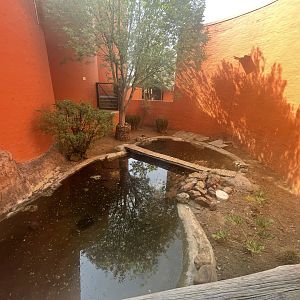 Red-eared slider and African Helmeted Turtle Exhibit (Trachemys scripta elegans, Pelomedusa subrufa)