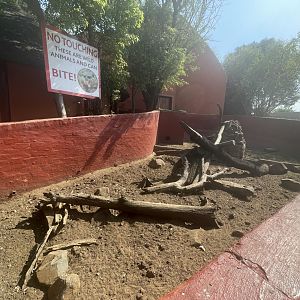 Meerkat Enclosure (Suricata suricatta)