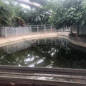 Crocodile enclosure
