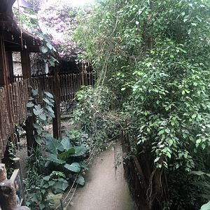 View from deck in the tropical hall