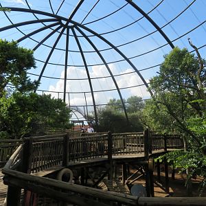 Large Aviary