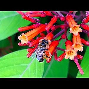 It's a Beeutiful Day!!! - YouTube