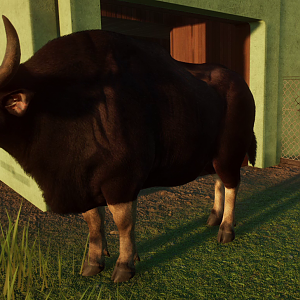 The Ultimate Exotic Hoofstock!