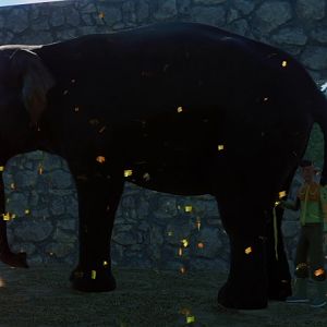 Planet Zoo's Largest Indian Elephant