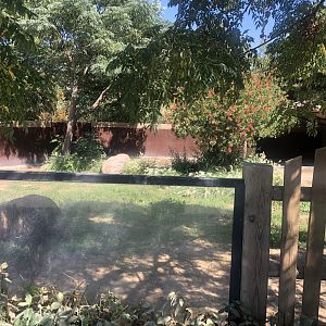 Part of Emu enclosure