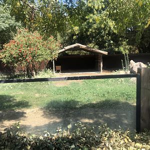 Part of Emu enclosure