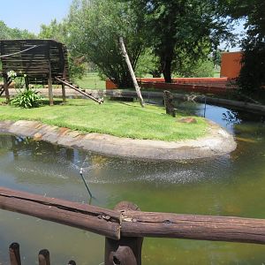 Older photos of Common squirrel monkey enclosure (Saimiri sciureus)