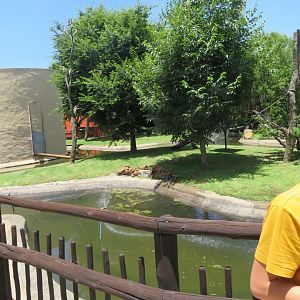 Older photos of Common squirrel monkey enclosure (Saimiri sciureus)