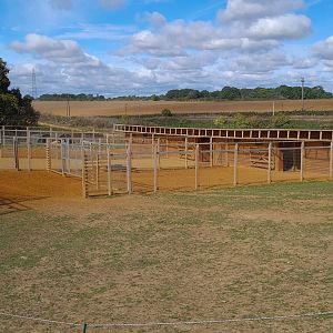 Hoofstock stables, Jimmy's Farm