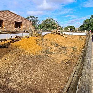 Armadillo exhibit, Jimmy's Farm