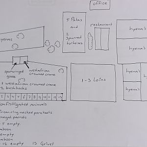 Plan Abuko Orphanage 1999