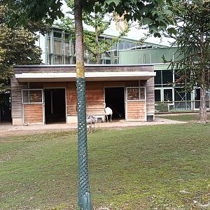 South America Enclosure