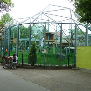 Chimpansee enclosure