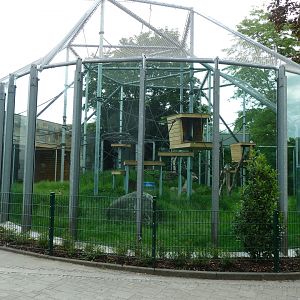 Chimpansee enclosure