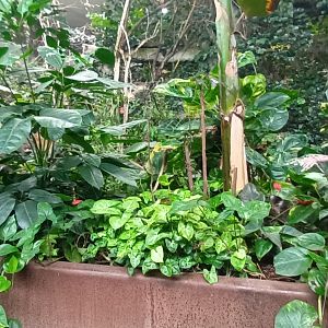 Exotics House general View