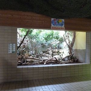 Tropenhalle (birdhouse) - South America aviary