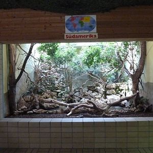 Tropenhalle (birdhouse) - South America aviary