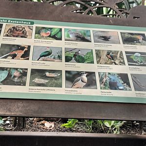 Freeflight Hall Species List and Signage