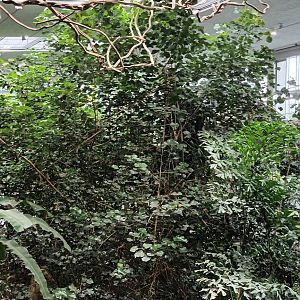 Freeflight Hall general View