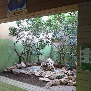 Tropenhalle (birdhouse) - Australia aviary