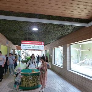 Tropenhalle (birdhouse) - General view