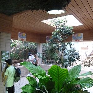 Tropenhalle (birdhouse) - African aviaries